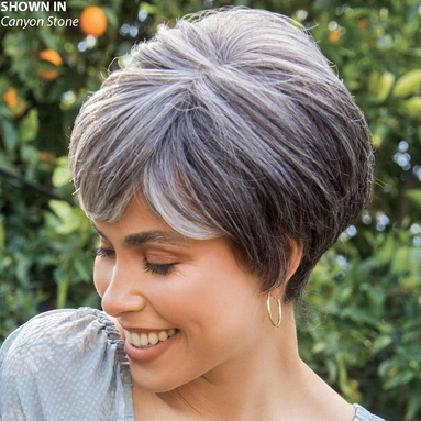 Destiny Lace Front Wig (image 1 of 4)