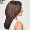 Go All Out 10" Monofilament Topper Hair Piece by Raquel Welch® (image 2 of 4)