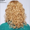 Radiant Beauty Lace Front Monofilament Wig (image 2 of 15)