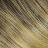 R24/6BT|Gld Blonde Blended and Tipped w/ Chestnut Brown