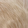 R26/613|Golden Blonde w/ Pale Blonde