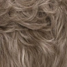 17/101|Sugar and Spice - Light Ash Brown, Platinum Ash Blonde Frosted