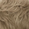 24/14B|Mocha Frosted - Brownish Blonde/Light Ash Blonde Frosted